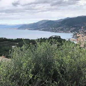 https://see-view-apartment-next-to-the-portofino-park.hotelitalianriviera.com